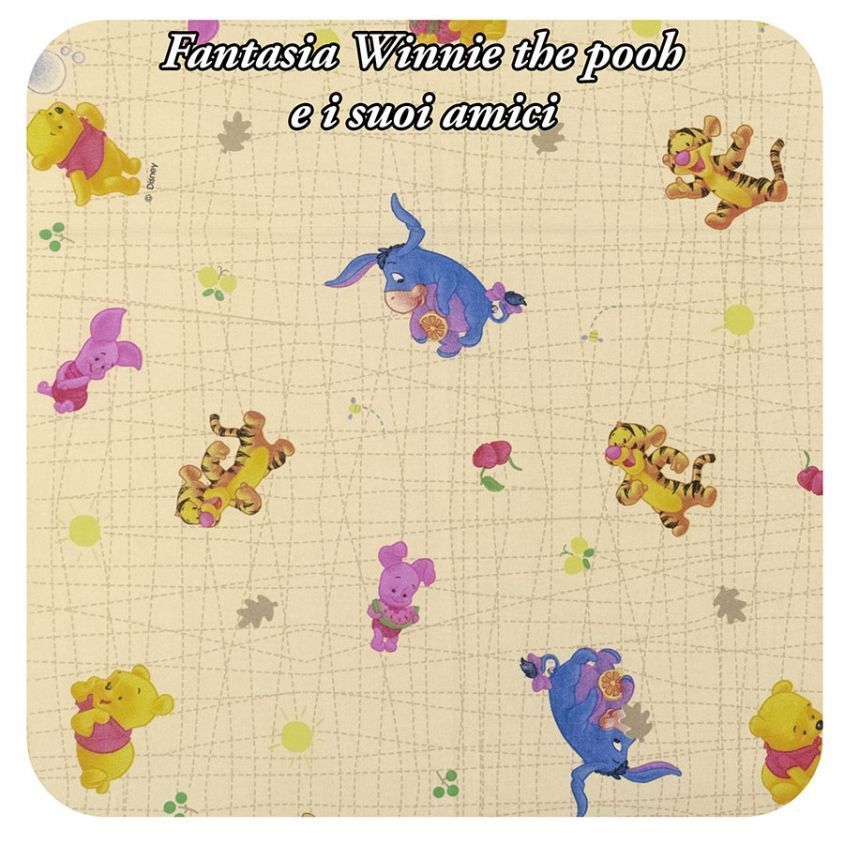 fantasia "Winnie the pooh e i suoi amici"